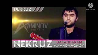 Nekruz Mamadamonov Qalandaram [upl. by Lenno]