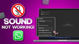 How to Fix Sound Not Working on WhatsApp PC  Resolve WhatsApp Desktop Audio Issues [upl. by Gotthelf836]