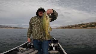 Bass Fishing Lake Berryessa November 2024 [upl. by Ennovy9]