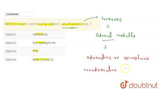 Which isare commonly called catecholamines [upl. by Timmi462]