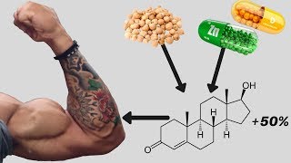 How to Increase Your Testosterone NATURALLY 18 Studies [upl. by Ramoh476]