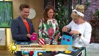 Sommarpyssel som passar liten och stor  Nyhetsmorgon TV4 [upl. by Fridell]