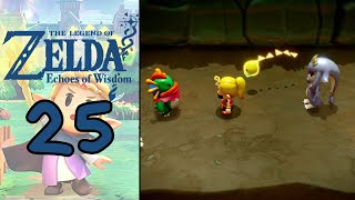 Rimpatriata tra Zora  The Legend of Zelda Echoes of Wisdom ITA 25 [upl. by Vyky]