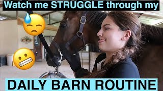 MY DAILY BARN ROUTINE it’s a struggle [upl. by Fowler]