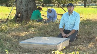 Spring active dung beetles arrive in the Corowa Region [upl. by Dnilasor]