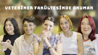 Veteriner Hekimliği І Veteriner fakültesinde öğrenci olmak [upl. by Eardnaed]