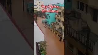 Fengal Cyclone pondicherry pondicherry pondicherryrains rain rainsounds cyclone fengal [upl. by Kiona]