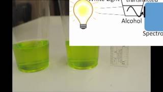 Chlorophyll Fluorescence Lab [upl. by Acnaib385]