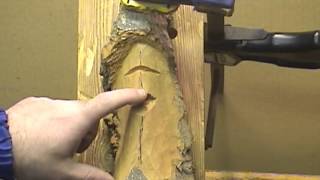 How To Carve A Wood Spirit Face With Hand Tools 3 [upl. by Zirtaeb]