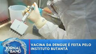 Instituto Butantã entrará com pedido de registro de vacina contra a dengue  Jornal da Band [upl. by Ilrebma]