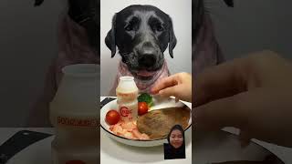 Dog eat meat and vegetable🤤 dog mukbang eatingshow eating [upl. by Anirbas]