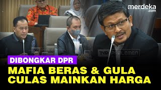 DPR Endus Ada Pengusaha Mafia Beras amp Gula Culas Mainkan Harga Keras Sentil KPPU [upl. by Patience]