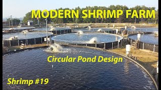 MODERN SHRIMP FARM  CIRCULAR POND DESIGN 19  FISH [upl. by Hayilaa]