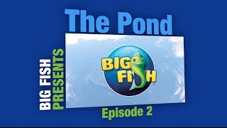 Gummy Drop Hints New MCF amp Giveaways  The Pond Ep 2 [upl. by Groark]