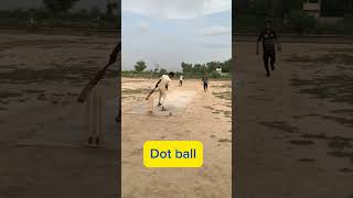 Sheikh vs Sahil tap ball cricket matchshots tapeballcricket tapballcricket lover [upl. by Adnomar]