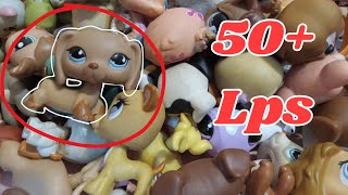 Lps haul 50 littlest pet shops [upl. by Eleets513]