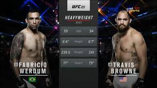 Fabricio Werdum vs Travis Browne [upl. by Tnilc]