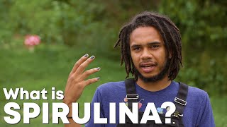 What is Spirulina w William PadillaBrown Mini Doc pt 2 [upl. by Duggan]