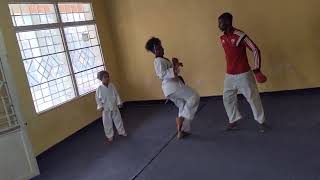 karate mawashi Geri training TheBest667 [upl. by Marcella]