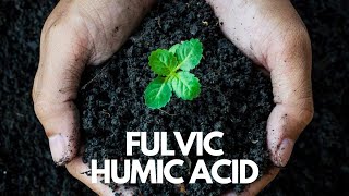 Fulvic Acid  The Miracle Supplement You Didnt Know You Needed fulvicacid humicacid [upl. by Corrianne]