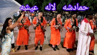 حمادشة لالة عيشة كناوه مهرجان حمادشه الجزء الثاني [upl. by Arnelle634]