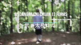 Wudang Tai chi Chuan 13 Forms Presented by Master Gu Shining [upl. by Yi]