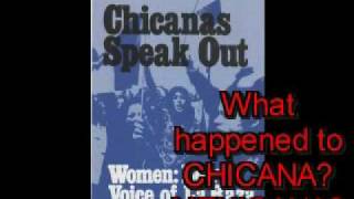 Chicana Feminism has FAILED USMexican Excellence [upl. by Gaillard86]