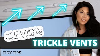 HOW TO CLEAN TRICKLE VENT CLEANING UPVC WINDOW VENTS  HAYLEYS TIDY TIPS [upl. by Yevol]