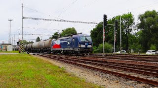 Vlaky Skalice nad Svitavou 5 8 2024 [upl. by Noiram629]