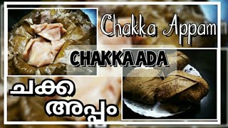 How to make Chakka Appam  Recipe in Malayalam  Chakka Ada  ഒരു Healthy നാലുമണി പലഹാരം [upl. by Dressel]