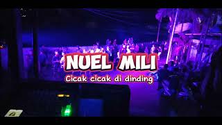 Cicakcicak di dindingRemixNuel Mili [upl. by Imat]