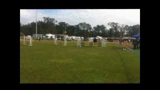 Isle Be Your Captain amp Amber Scriven  90cm Caboolture Show [upl. by Rebmak]