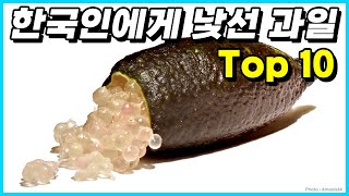 대부분의 한국인들이 접하기 힘든 생소한 과일 Top 10 [upl. by Blatman]