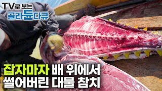 이 거대한 대물 황다랑어는 우리 돈 24만 원에 일본으로 수출됩니다｜한 달 월급 18만 원 인도네시아 참치 어부｜술라웨시 바다｜인간과 바다｜골라듄다큐 [upl. by Lesslie]