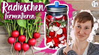 Knackige Radieschen fermentieren  Ein einzigartiger Snack für den Sommer [upl. by Riay]