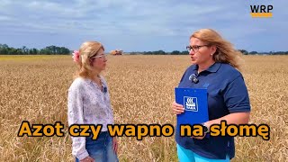 Azot czy wapno na słomę [upl. by Willumsen]