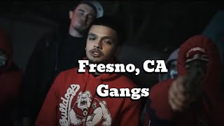 Fresno California Gangs Fresno County Most Dangerous Gangs [upl. by Suolekcin428]