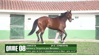 08 LANCETA [upl. by Wenda]