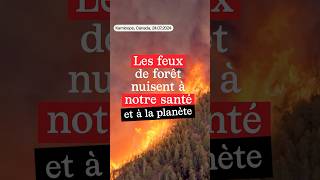 Comment les feux de forêt nuisent à notre santé [upl. by Decrem]