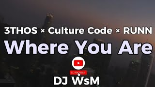 3THOS × Culture Code × RUNN  Where You Are Lyric video [upl. by Kennan]