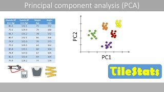 PCA  the math  stepbystep with a simple example [upl. by Llertnod]