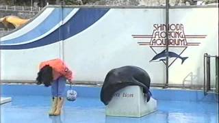 アシカショー 下田海中水族館 Sea Lion Show [upl. by Erickson]