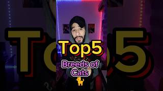 Top5 Breeds Of Cats  🐈 [upl. by Nylad443]