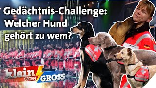 Jakob kann 30 Hunde ihren Besitzern mit Namen zuordnen  Klein gegen Groß [upl. by Geminian79]