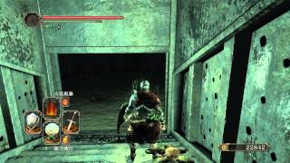 Dark Souls 2 黑暗靈魂2 DLC  高質戰士之旅  沉沒國王之冠  Part 2  龍之聖壁 [upl. by Eseilenna421]