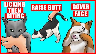 Real Meanings Behind 9 Strange Cat Behaviors Explained [upl. by Nolyaj]