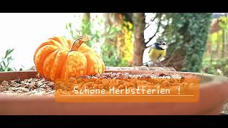 Schöne Herbstferien [upl. by Loraine]