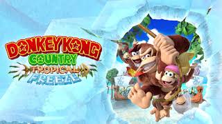 Wing Ding Medley  Donkey Kong Country Tropical Freeze Music [upl. by Gracie167]