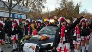 Karneval Fasching Fasnet Fastnacht 2024Gundelsheim Germany part2 [upl. by Dugald781]