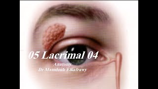 05 Lacrimal part4 الكفراوي أناتومى Elkafrawy Anatomy Basics [upl. by Notsrik]